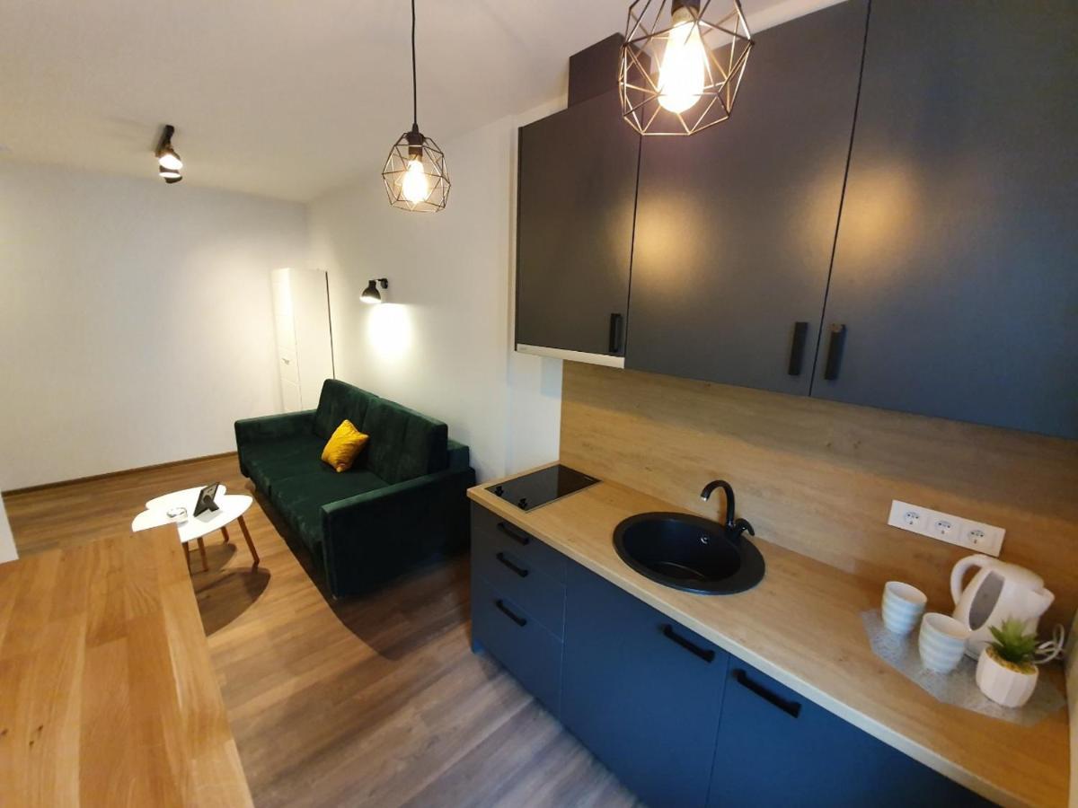 קובנה Oak House Apartments מראה חיצוני תמונה