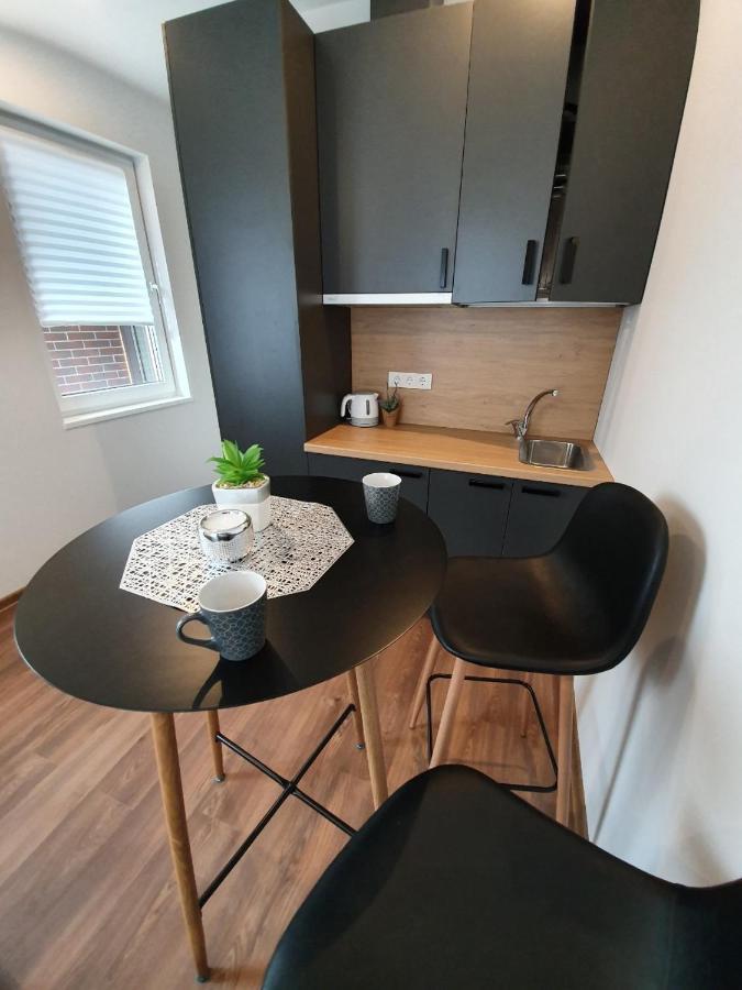 קובנה Oak House Apartments מראה חיצוני תמונה